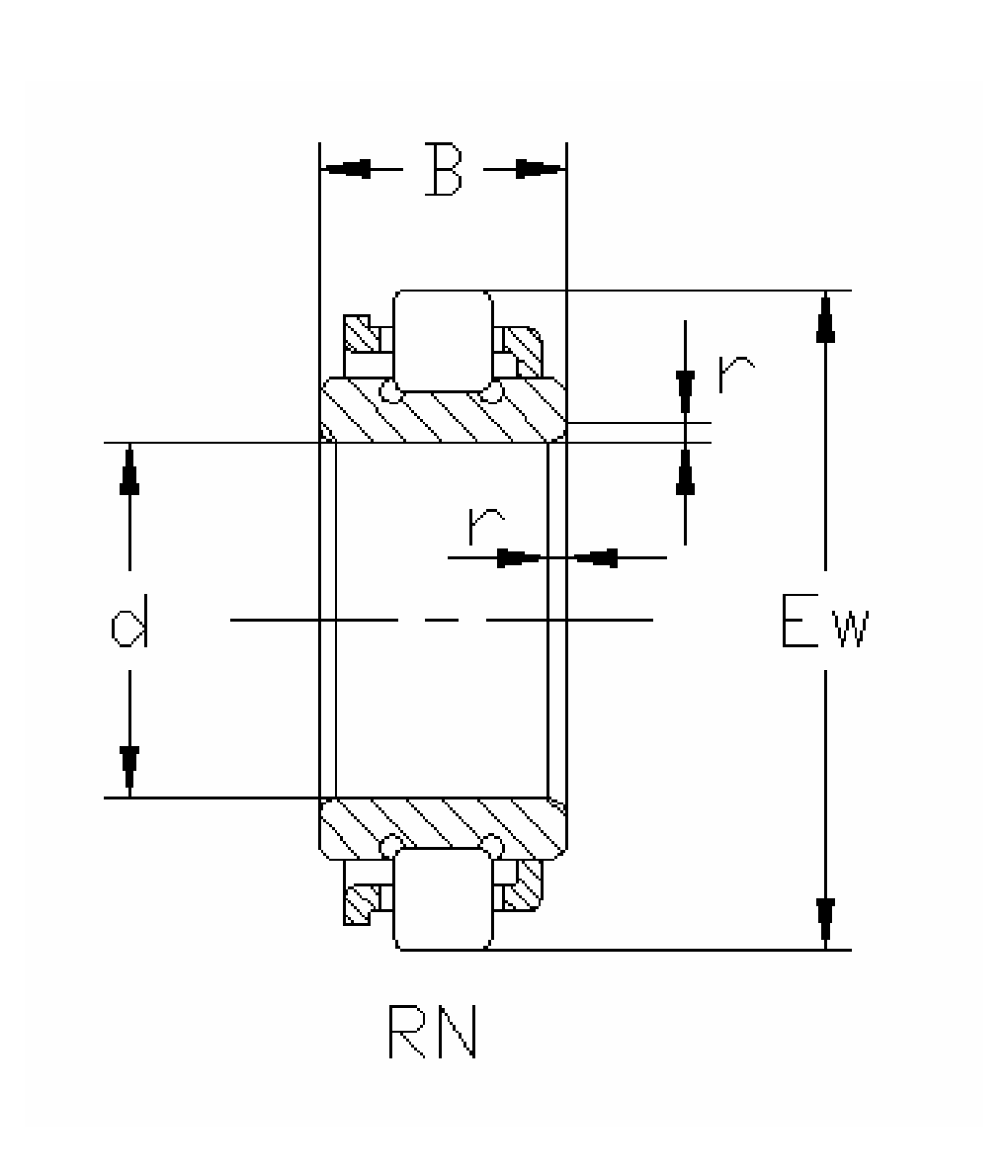 RN_Without_Outer_Ring_Section