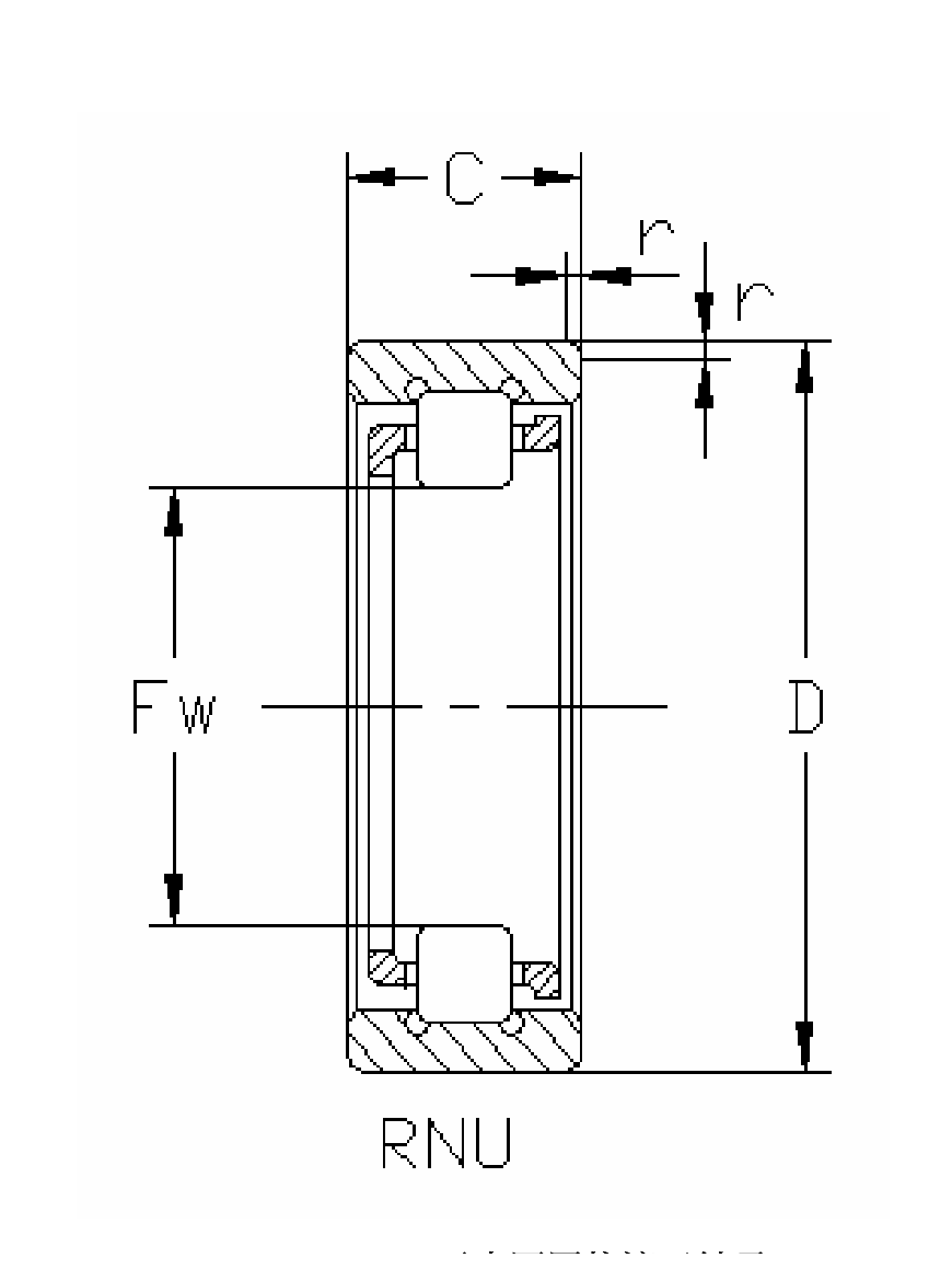 RNU_Without_Inner_Ring_Section