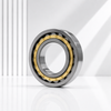 Cylindrical Roller Bearing