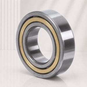 NJ 2209 EM Cylindrical Roller Bearing