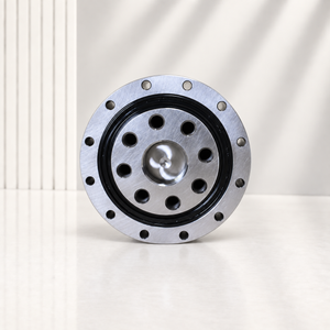 CSD-17 CSD Harmonic Reducer Bearing