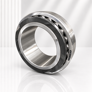 8039/600 Split Spherical Roller Bearing