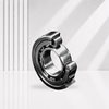Single-Row Cylindrical Roller Bearings
