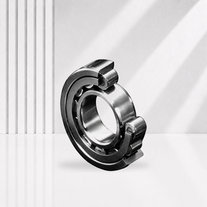 Single-Row Cylindrical Roller Bearings
